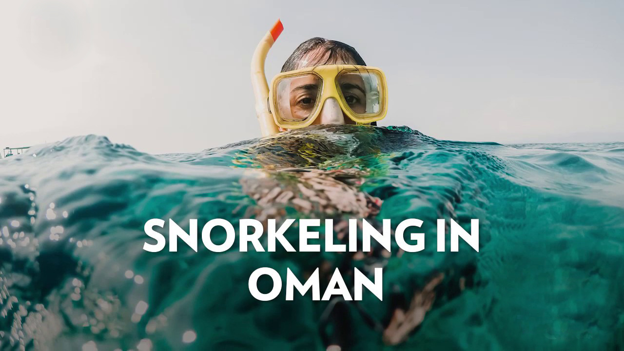 Snorkeling in Oman | Snorkeling Oman | Snorkeling trip in Oman ...